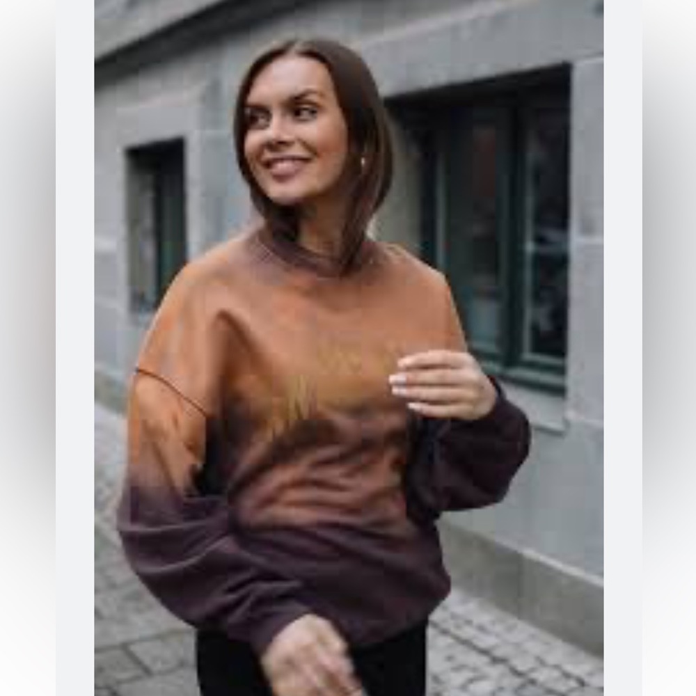 Anine Bing Brown and Gold Ombre Sweatshirt - Picture 5 of 14